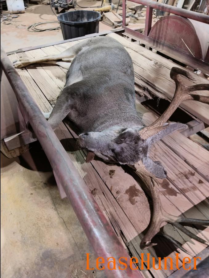 image000000 (10).jpg